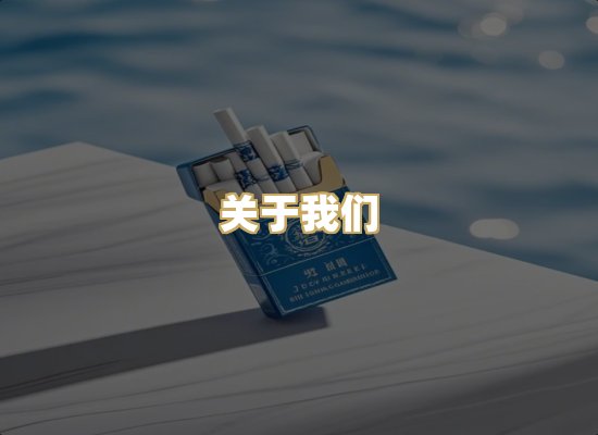 关于我们